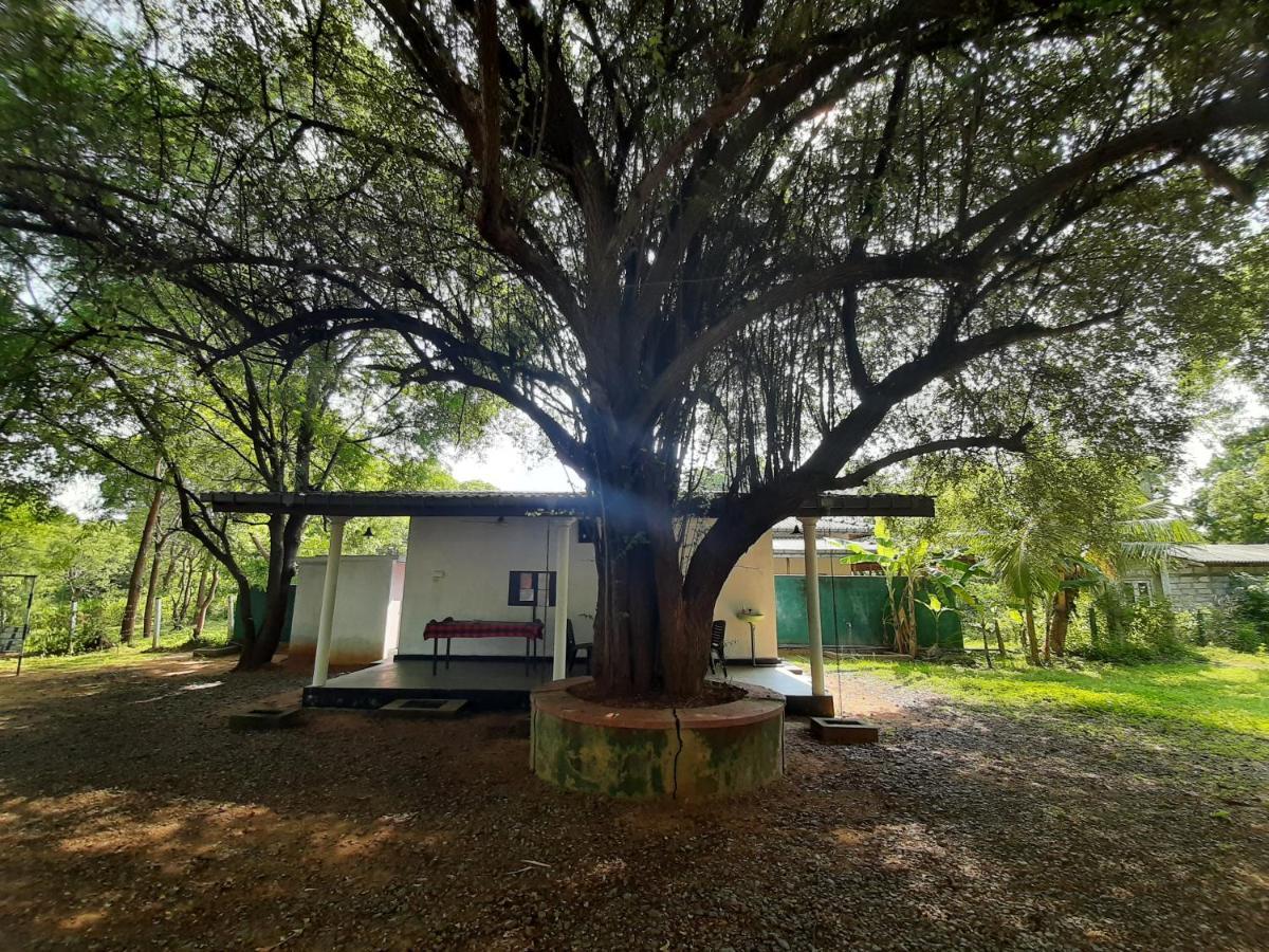 Katagamuwa Rest Hotel Kataragama Luaran gambar